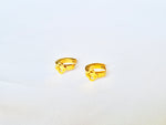 Aretes Trébol