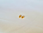 Aretes Hermès