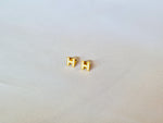 Aretes Hermès