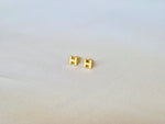 Aretes Hermès